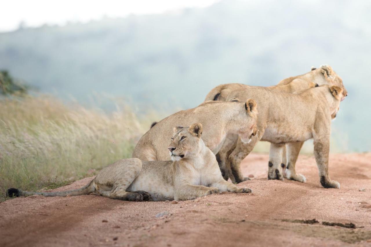 Taasa Lodge Serengeti Luaran gambar