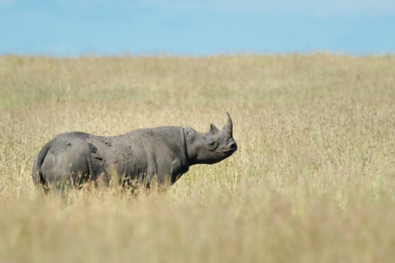 Taasa Lodge Serengeti Luaran gambar